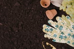 Landscaping & Garden Supply Business
