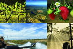 Own the Future of Water  Award-Winning Eco Tech Business