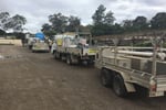 Successful and Reputable Concrete business with diverse and loyal clients