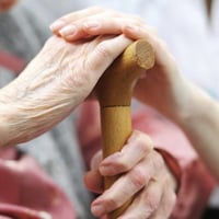Well Established NDIS/Disability Registered and In Home Care Services Business #386 image