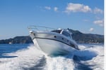 Premier Marine Business in the Whitsundays