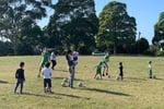 Grasshopper Soccer Franchise Opportunity - North Rocks and Telopea NSW