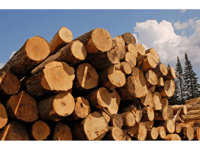 MARKHAM TIMBER FOR SALE image