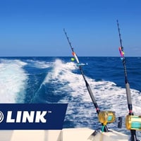 Thriving Marine Supplier & Service Ready to Grow! image