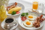 Established Cafe - Westfield Warringah Mall