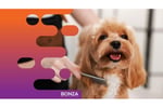 36635 Profitable Mobile Dog Grooming Business - Open To Offers