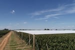 Leading Crop Protection/Netting Infrastructure Specialist VIC (Our Ref: 2065)