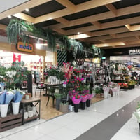 Branding gift shop in Pasadena Shopping Centre Ned\'s Pasadena for sale as stock value Adelaide image
