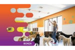 35643 Established Dog Grooming & Daycare Business - Growth Potential