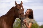 Million Dollar Sales, Animal and Pet Products #347