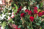 Oakleighs Iconic Florist Nursery Business for Sale SV1585