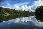 The closest Wet Tropics World Heritage river-based experience to Cairns