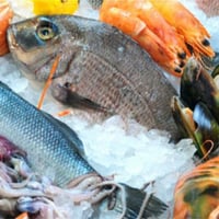 For Sale Premium Fresh & Cooked Seafood Shop  Good Returns with Prime Location image