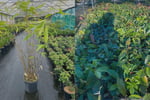 Plant the seed for your future