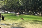 Sacred Owl Tours - Day Tours Departing Cairns, Port Douglas