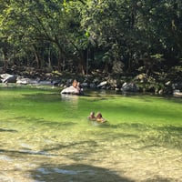 Sacred Owl Tours - Day Tours Departing Cairns, Port Douglas image