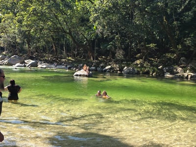 Sacred Owl Tours - Day Tours Departing Cairns, Port Douglas image