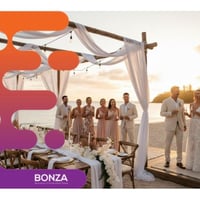 36557 - Luxury Wedding & Event Styling Business  Tropical North Queensland image