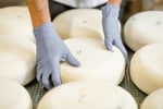 Cheese Manufacturing and Distribution with added tourism component