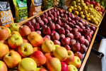 Unique Cafe and Fruit Shop For Sale