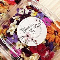 Edible Flowers Supplier – Perth, WA image