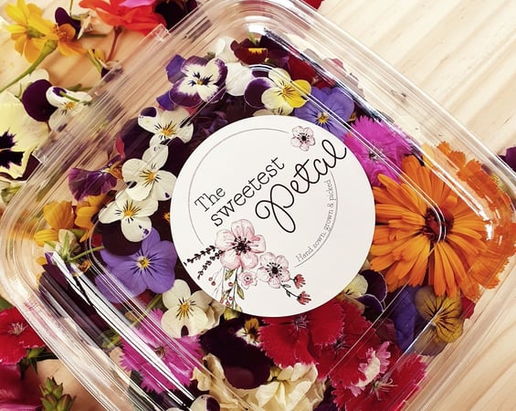 Edible Flowers Supplier – Perth, WA