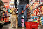 Fresh Pet Food & Retail Shop - Dandenong MW1504