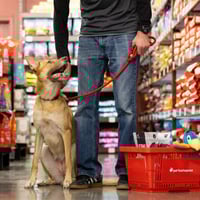 Fresh Pet Food & Retail Shop - Dandenong MW1504 image