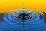 Leading & Established Irrigation Business For Sale