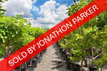 SOLD - WELL ESTABLISHED METRO NURSERY BUSINESS