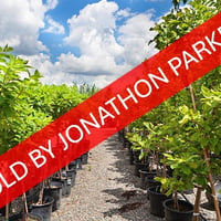 SOLD - WELL ESTABLISHED METRO NURSERY BUSINESS image
