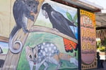 Thriving Cafe in the Heart of Bridgetown