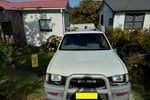 Pest Control - Termite Inspections / Management - Central Coast, NSW
