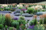 Wholesale & Retail Nursery | Established Perennials Nursery Opportunity | VIC