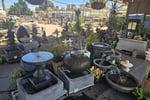 Specialist Retail Garden Centre - Clearview, SA