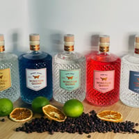 Successful gin distillery & distribution business for sale. image