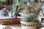 Iconic Home Decor & Gift Business, Online Growth Potential - EBS