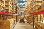 Large 3PL - Logistics/Warehousing and Transport Service Provider #393