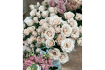 IVY FLORIST FOR SALE