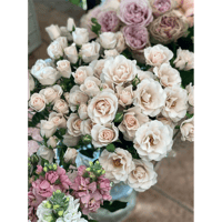 IVY FLORIST FOR SALE image