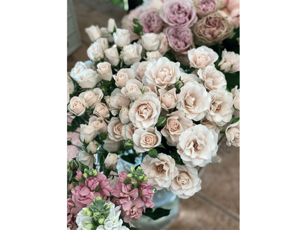 IVY FLORIST FOR SALE