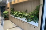 High-Margin Plant Service Business
