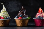Thriving Frozen Yogurt Business for Sale - Tutti Frutti UWA