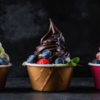 Thriving Frozen Yogurt Business for Sale - Tutti Frutti UWA image