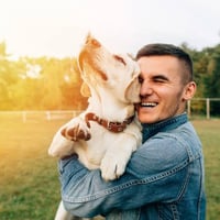 Online Pet Product Wholesaler/Distributor and Supplier #438 image