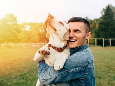 Photo of Online Pet Product Wholesaler/Distributor and Supplier #438
