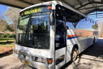 Woodstock Bus Service - Long-standing and reputable business!