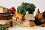 Fresh Pet Food Retail Shop (South Eastern Suburbs) MW1504