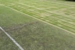 SPORTZING - TENNIS COURT MAINTENANCE
