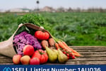 Fruit/veg/flower/ juice/ groceries Supermarket in inner west of the Sydney- 1SELL Listing Number - 1AU036